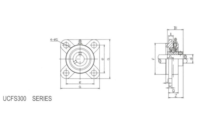 Flange Cartridge Units