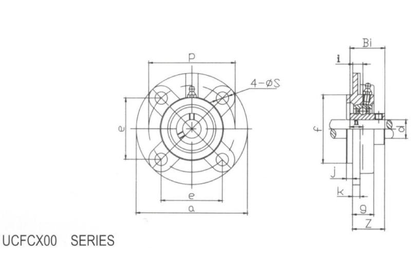 Flange Cartridge Units 3