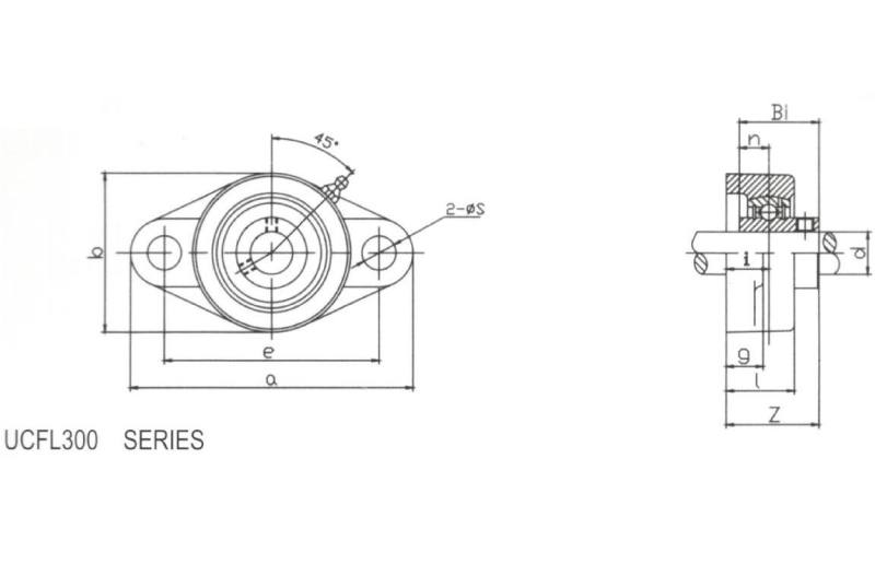 Two-Bolt Flange Units 2