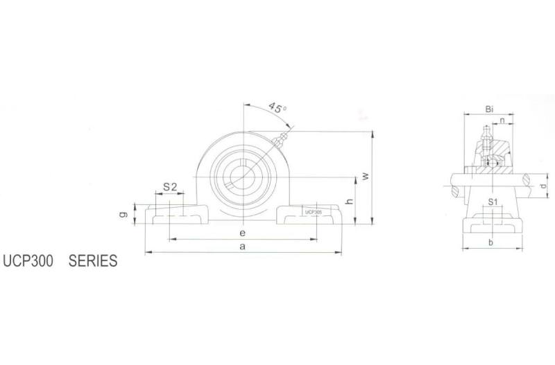 Pillow Blocks UCP300