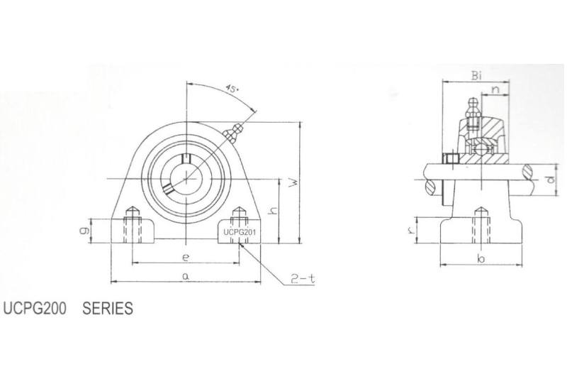 Pillow Blocks UCPG201