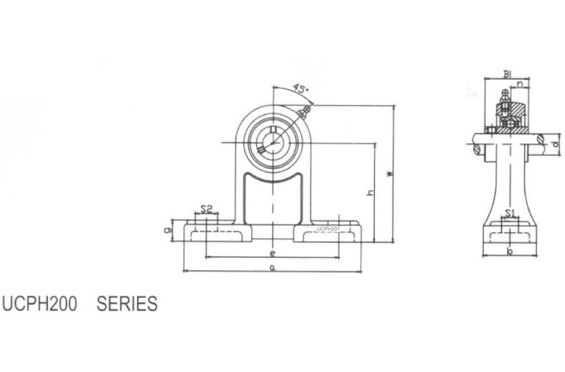 Pillow Blocks UCPH200