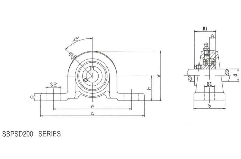 Pillow Blocks SBPSD200