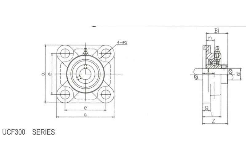 Square Flange UCF305